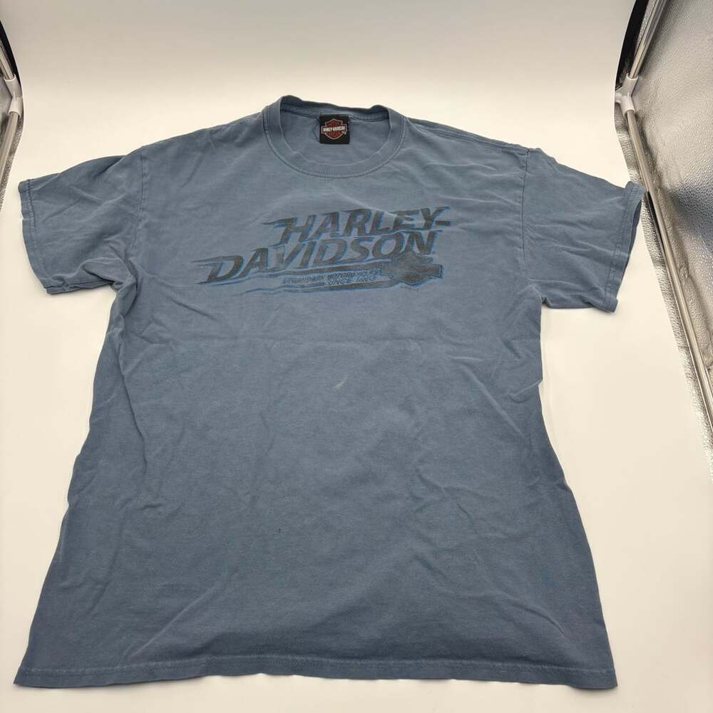 Harley Davidson T-Shirt Size L Blue Scottsdale Arizona Graphic Tee